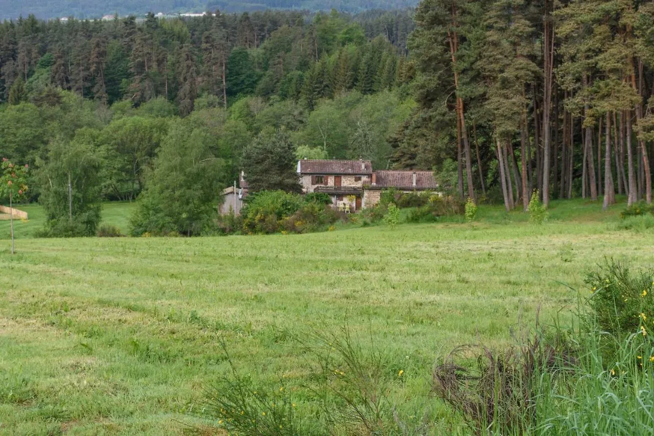 Moulin Des Comtes - Gite D'Leau Viverols Apartment